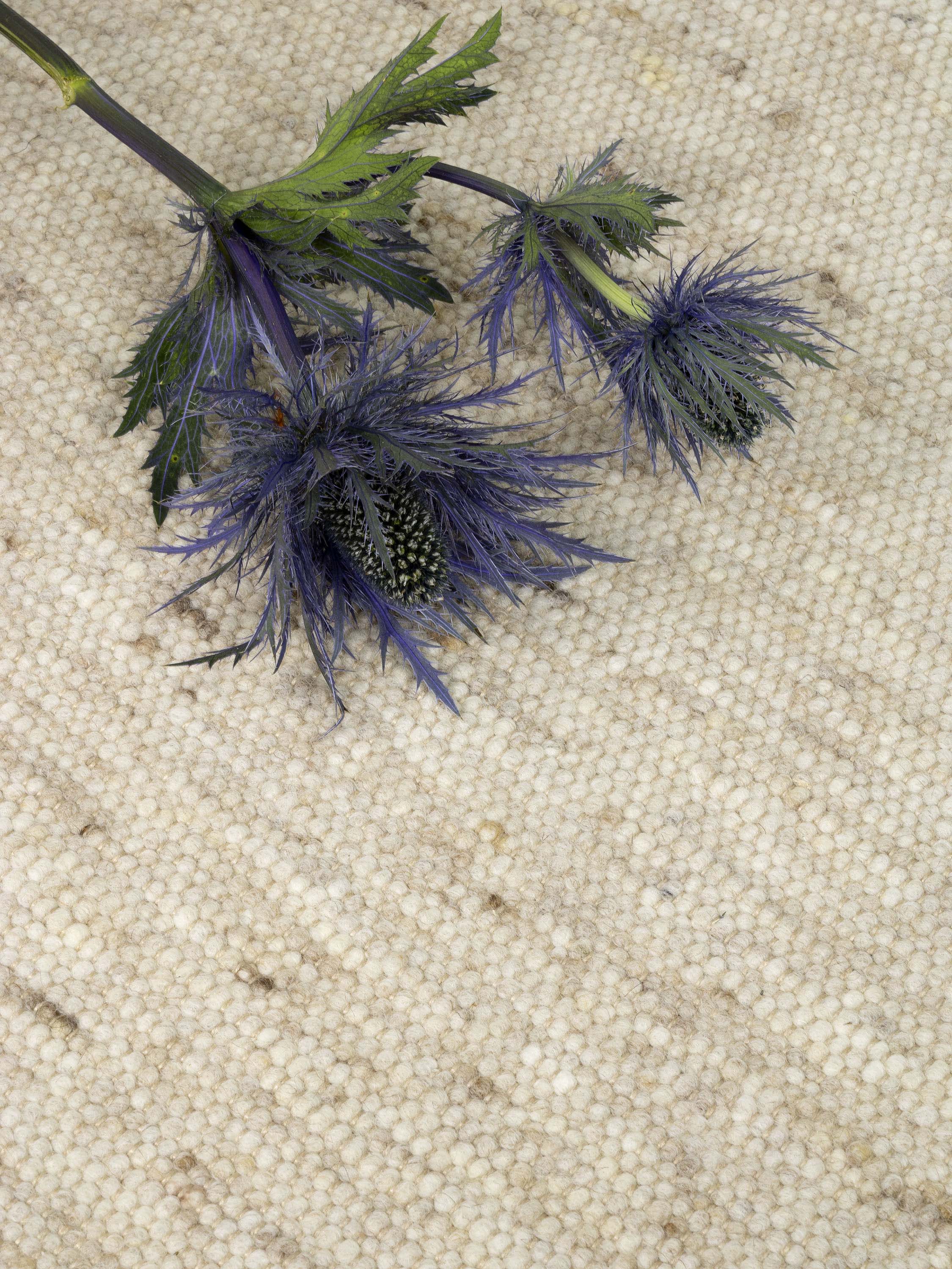 Structuur vloerkleed MOMO Rugs Perledo 3